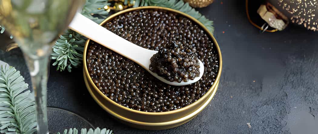 تصویر 1 از خرید و قیمت خاویار سیاه درجه یک 100 گرمی + فروش صادراتی